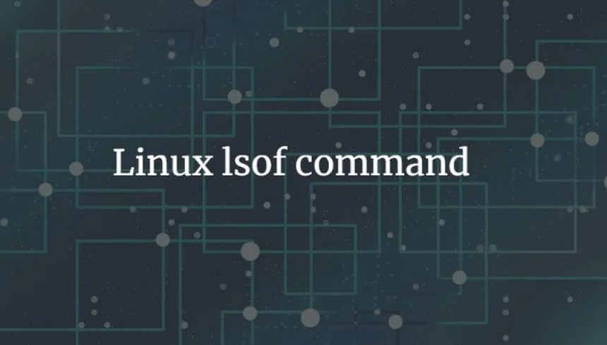 Hướng dẫn cách sử dụng lsof để theo dõi file đang mở trên Linux